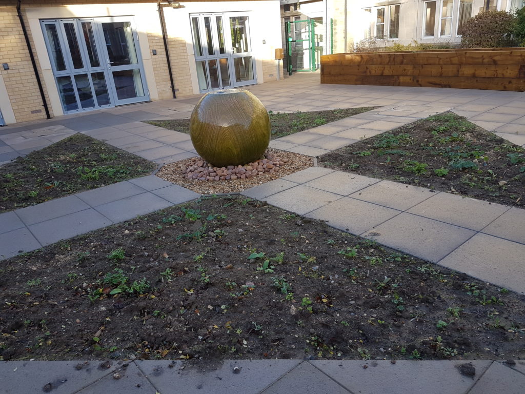 20181110_085354-1024x768