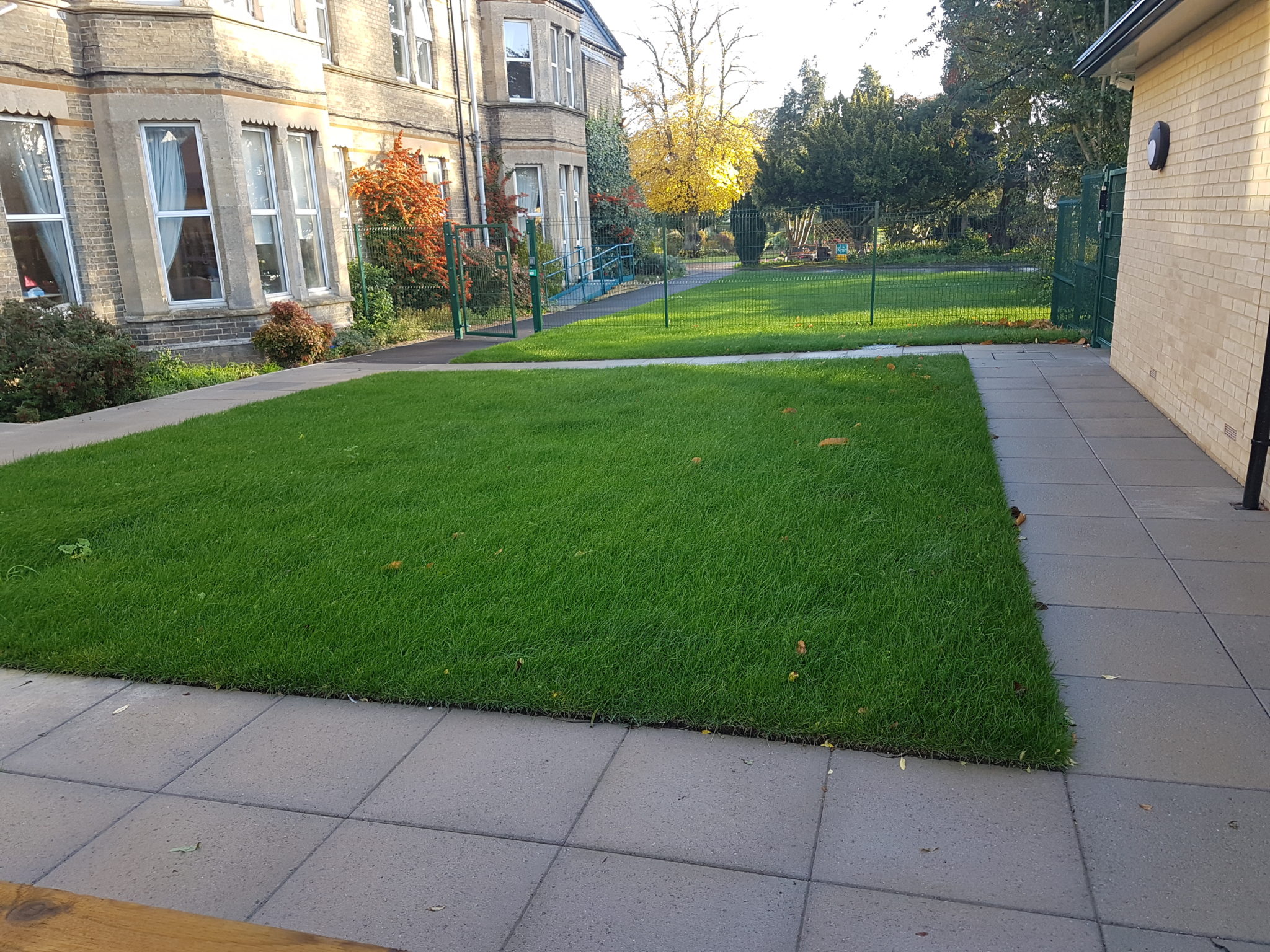 20181110_085421-2048x1536